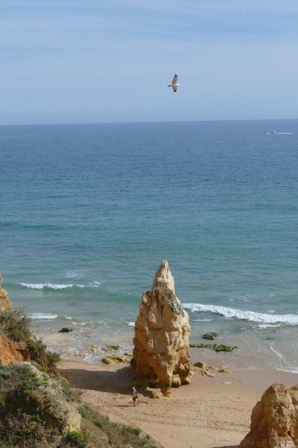 Praia Da Rocha, Algarve Sunny Apartment Portimão Eksteriør billede